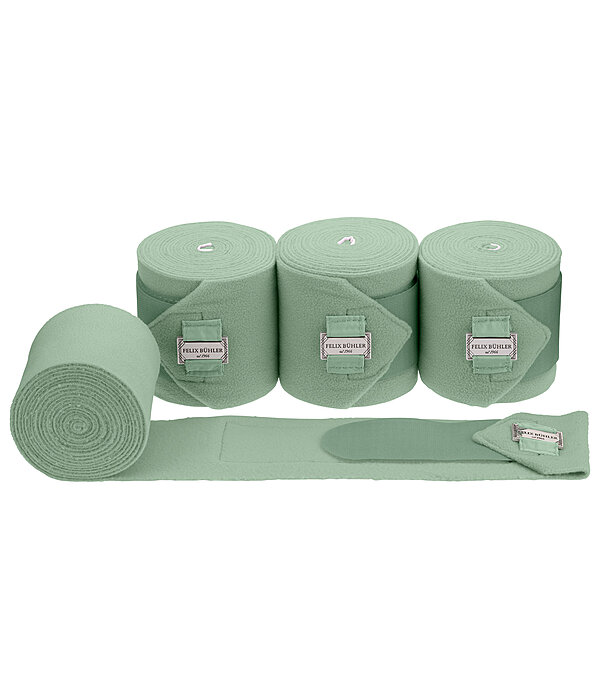 Bandes polaire  Essential