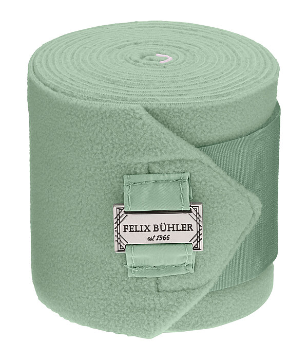 Bandes polaire  Essential