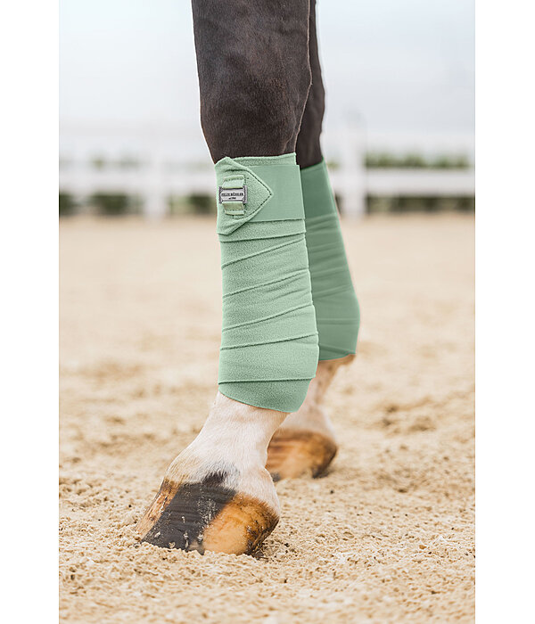 Bandes polaire  Essential