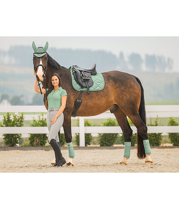 Bandes polaire  Essential