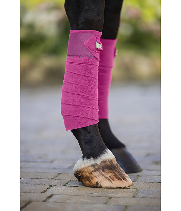 Bandes polaire  Essential