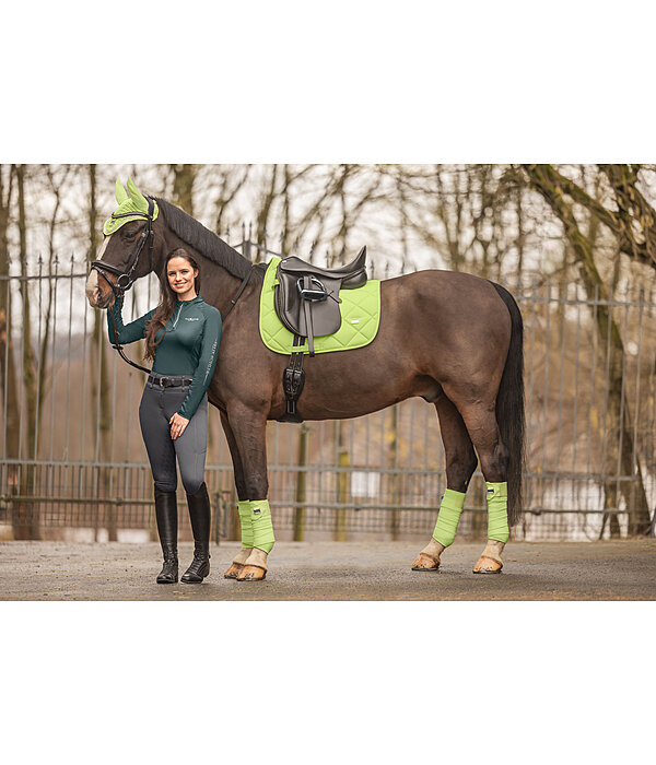 Bandes polaire  Essential