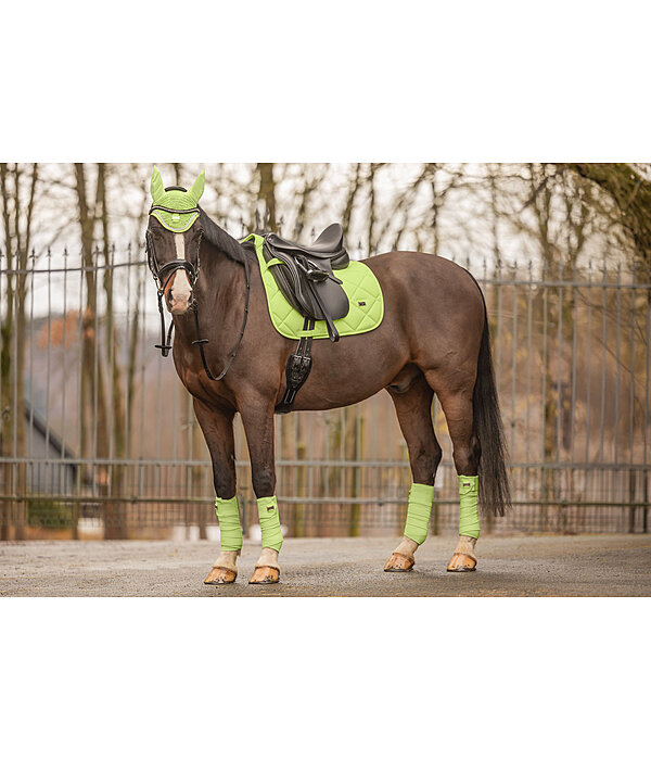 Bandes polaire  Essential