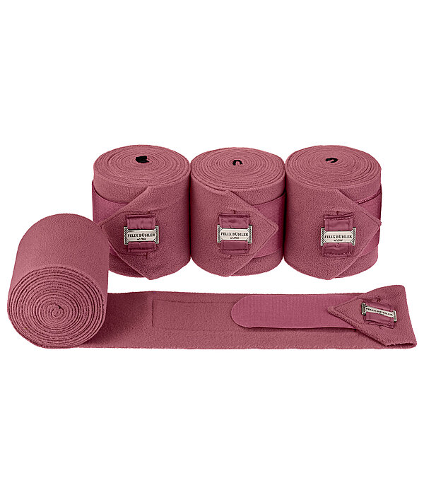 Bandes polaire  Essential