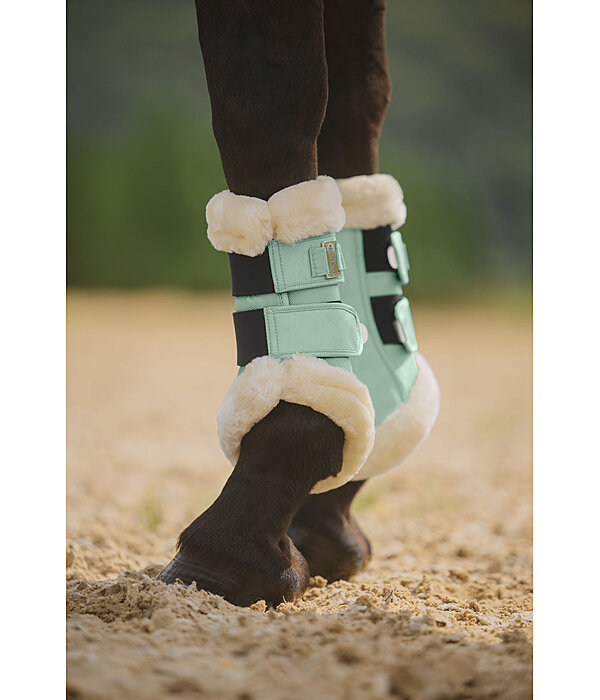 Gutres de dressage en polaire Teddy  Essential, pour antrieurs