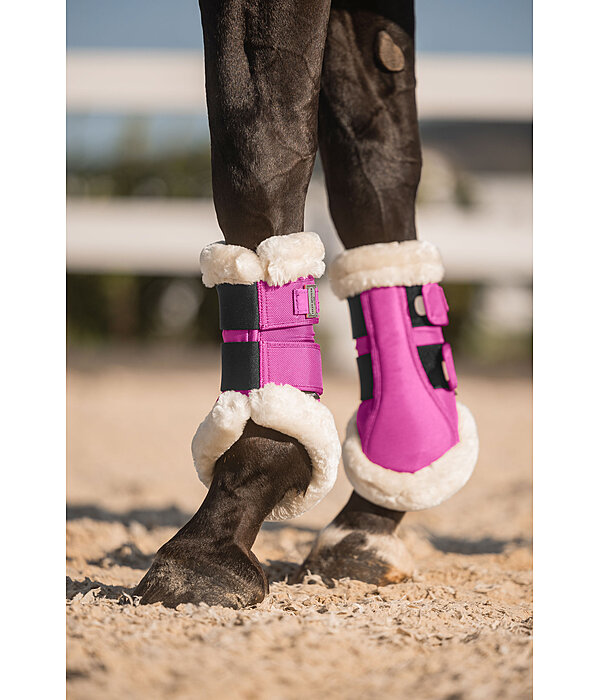 Gutres de dressage en polaire Teddy  Essential, pour antrieurs