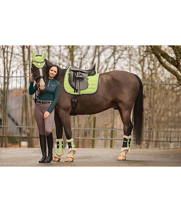 Gutres de dressage en polaire Teddy  Essential, pour antrieurs