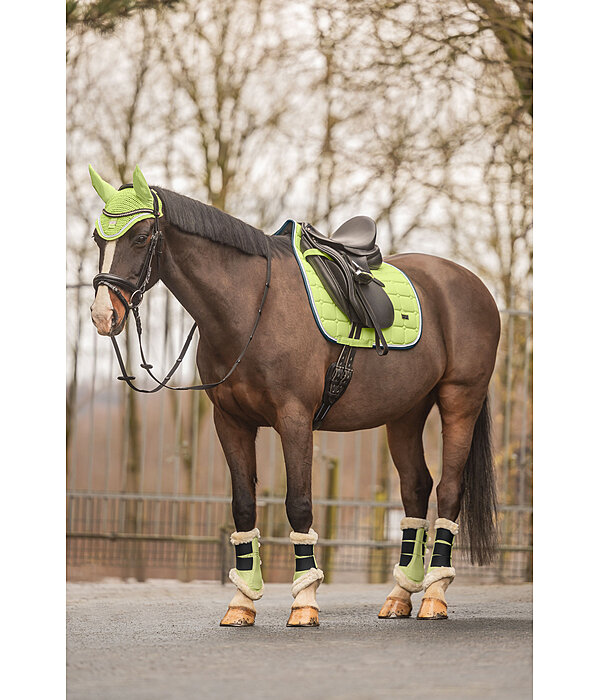 Gutres de dressage en polaire Teddy  Essential, pour antrieurs