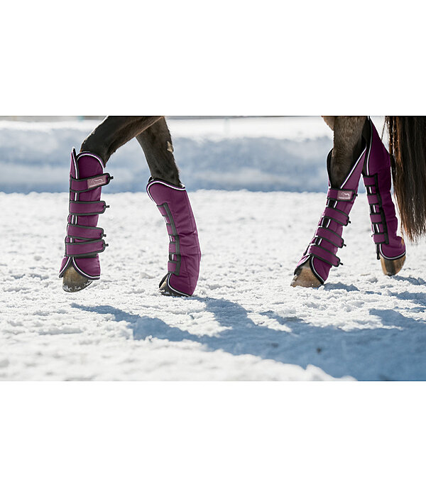 Gu�tres de transport   Kilian