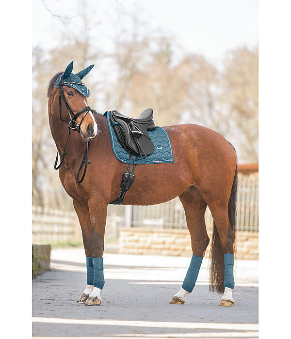 Bandes polaire  Sparkling II