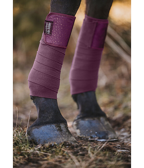 Bandes polaire  Sparkling II