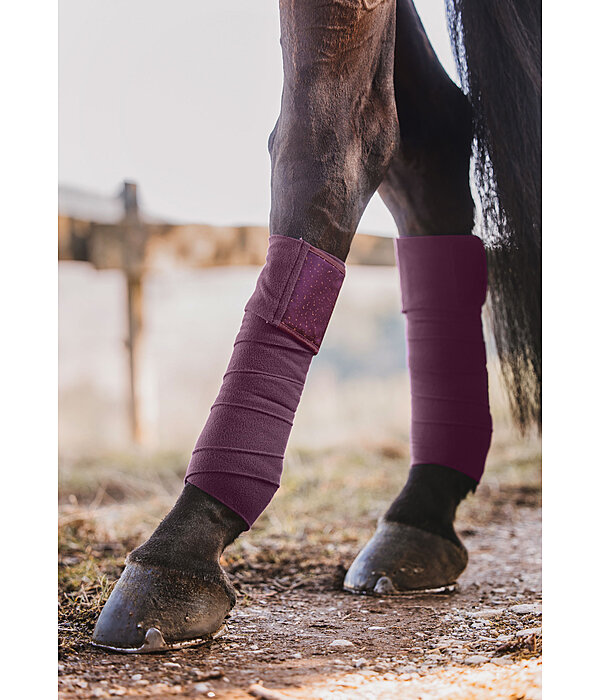 Bandes polaire  Sparkling II