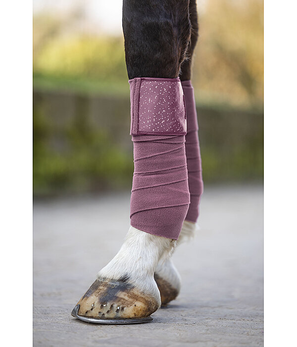 Bandes polaire  Sparkling II
