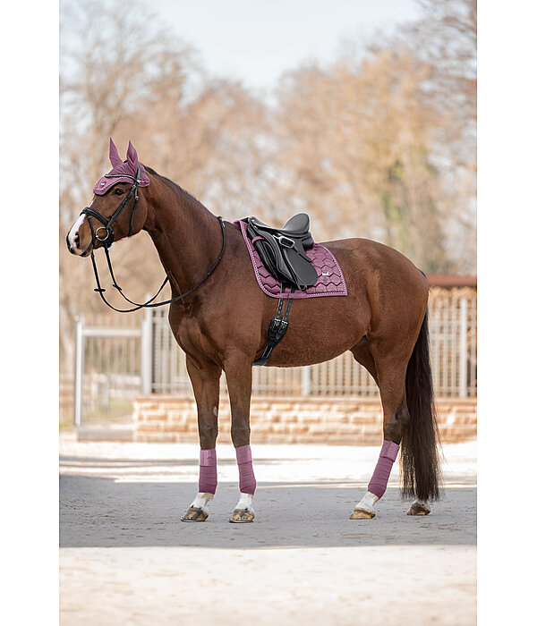 Bandes polaire  Sparkling II