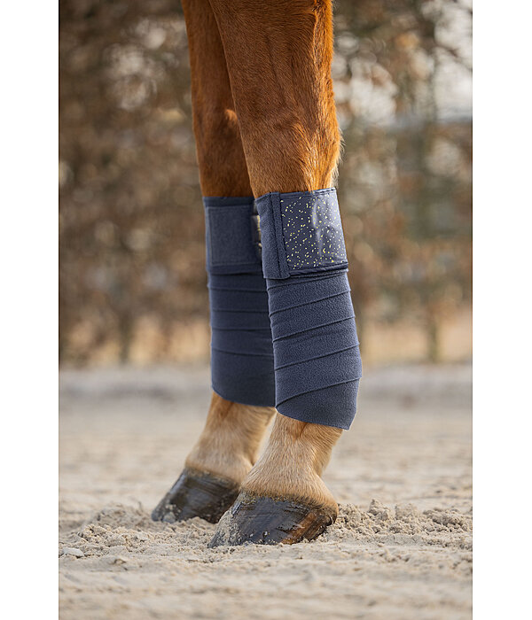 Bandes polaire  Sparkling II