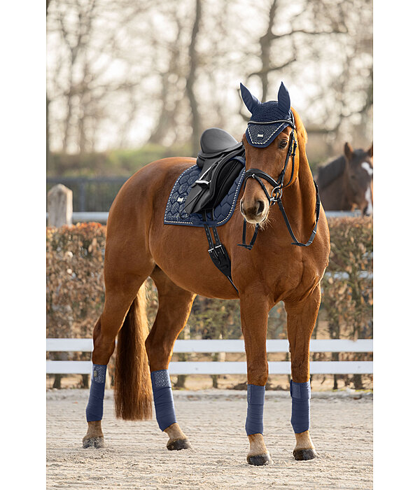 Bandes polaire  Sparkling II