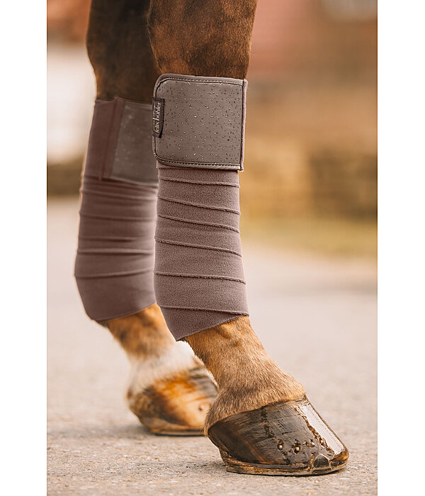 Bandes polaire  Sparkling II