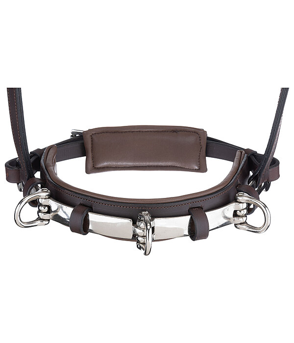 Caveon en cuir  Triple Pro