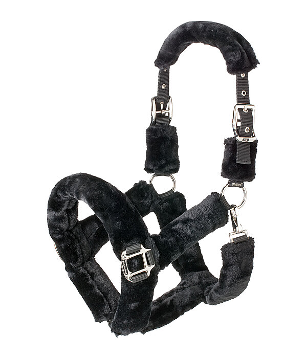 Licol en polaire Teddy  Audrey