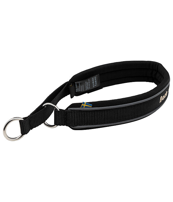 Collier anti-traction pour chien  Charlie