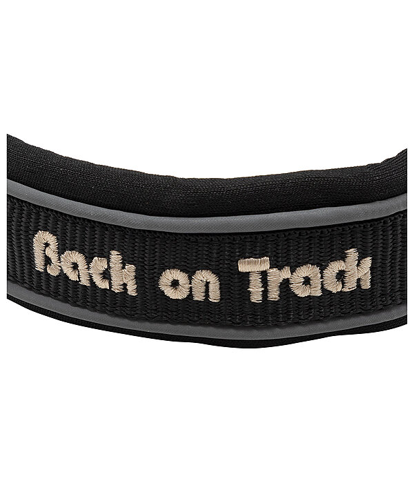 Collier anti-traction pour chien  Charlie