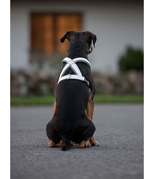 Harnais rflchissant pour chien