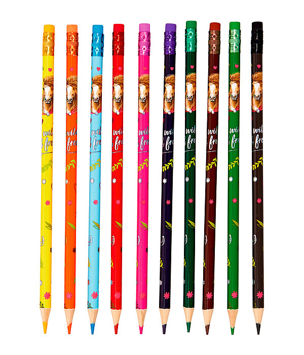 Crayons de couleur gommables  Amis des chevaux