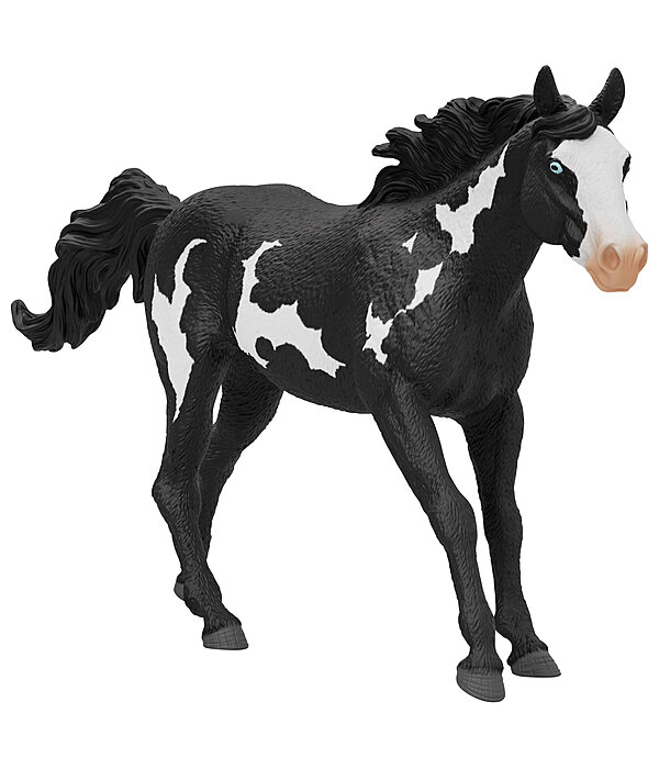 Hongre Paint Horse