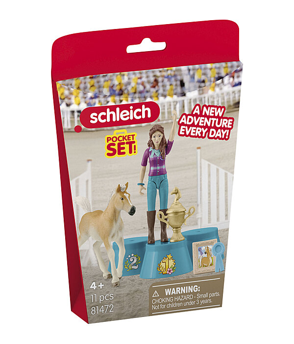 C�r�monie de remise des prix concours